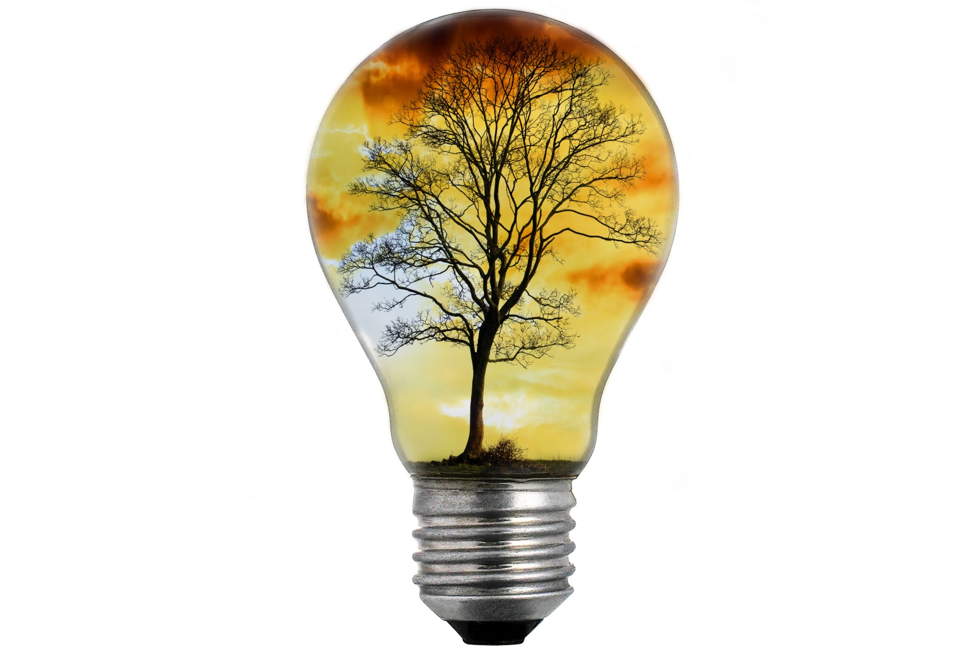 bulb-light-with-tree-1469090454Iuz